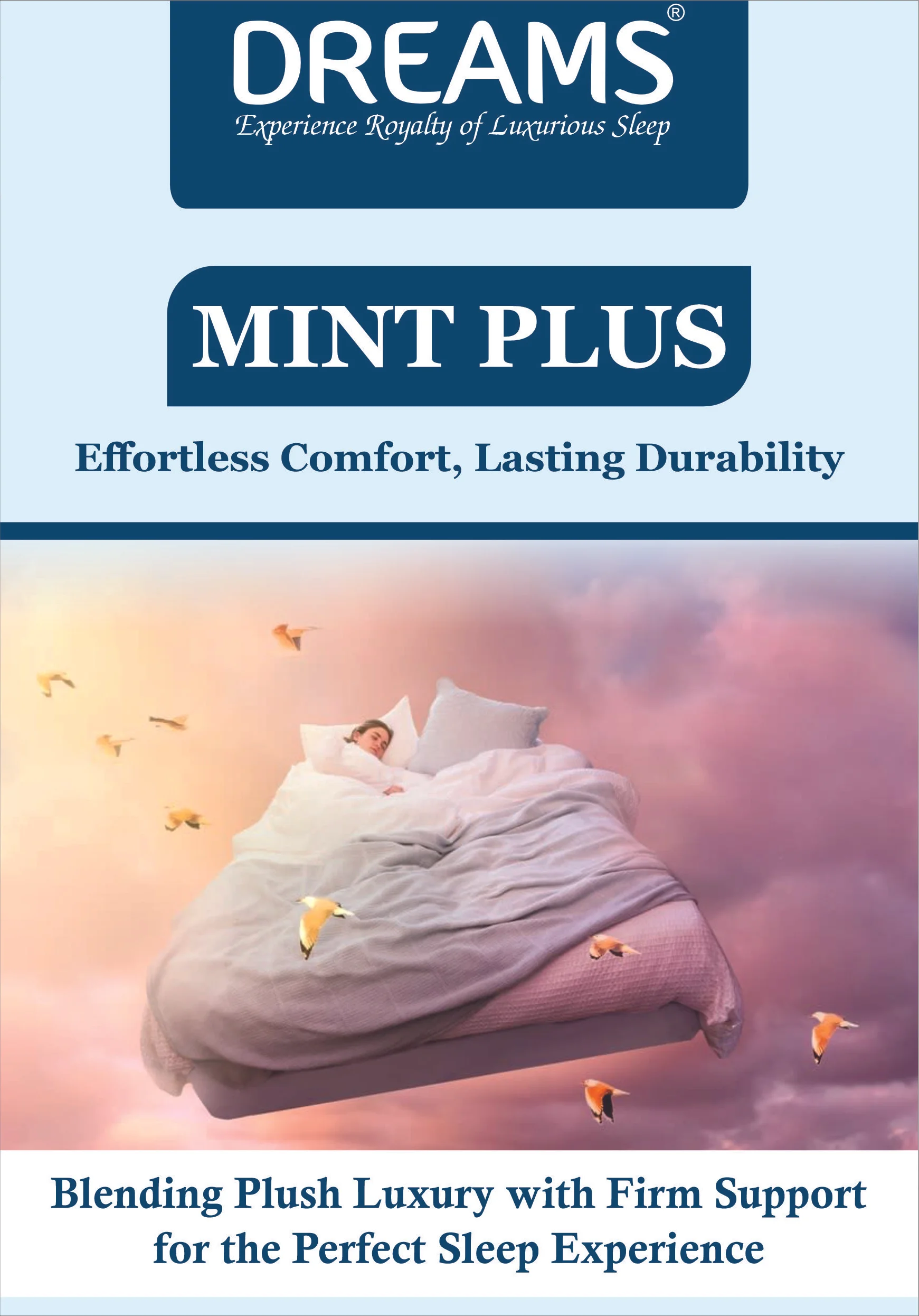 MINT-Plus-1